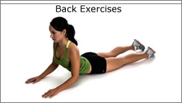 back exercises