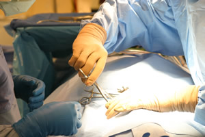 spine surgery